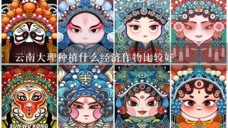 云南大理种植什么经济作物比较好