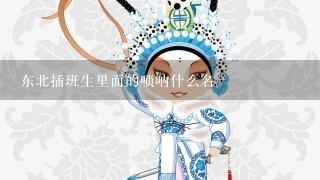 东北插班生里面的唢呐什么名