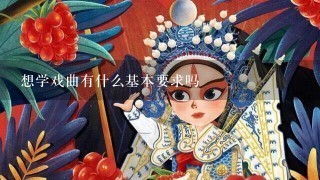 想学戏曲有什么基本要求吗