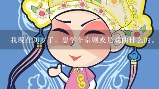 我现在20岁了，想学个京剧或是戏曲什么的。那个更容