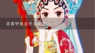 青黄甲鱼是什么意思