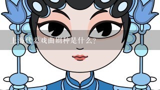 上海代表戏曲剧种是什么？