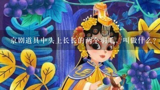 京剧道具中头上长长的两个羽毛，叫做什么？