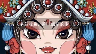 抖音上唱着戏曲，跷2郎腿的歌。叫什么？？