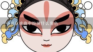 小丑在戏曲中扮演什么角色