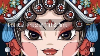 中国戏曲中包公属于什么角色