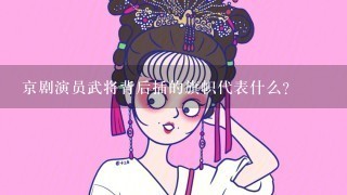 京剧演员武将背后插的旗帜代表什么？