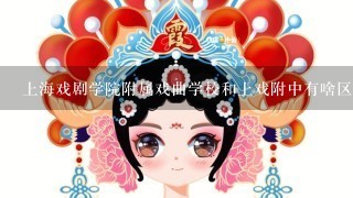 上海戏剧学院附属戏曲学校和上戏附中有啥区别