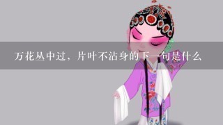 万花丛中过，片叶不沾身的下1句是什么